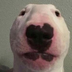 Meet your Posher, Jeremiah